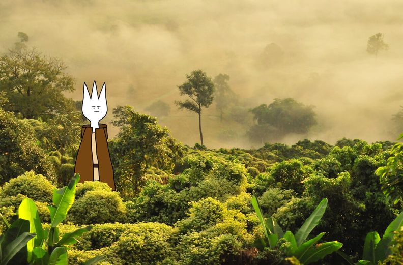 Ensemble pour sauver l’Amazonie !