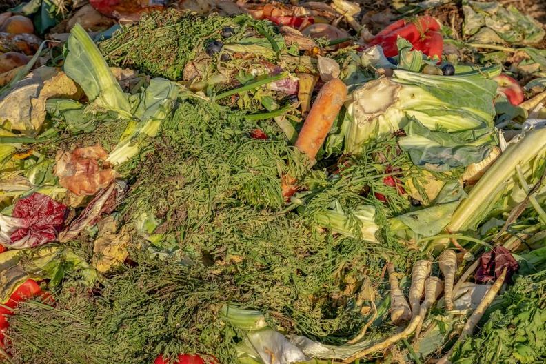 Solo un 6% de los españoles reconoce no tirar comida a la basura