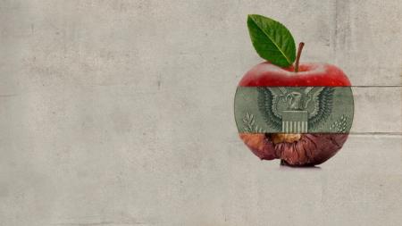 Novembre le mois du cinéma : Rotten