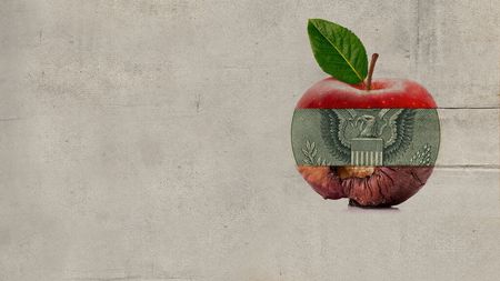 Novembre le mois du cinéma : Rotten