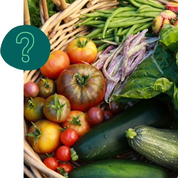 a basket of vegetables with a question mark in the middle