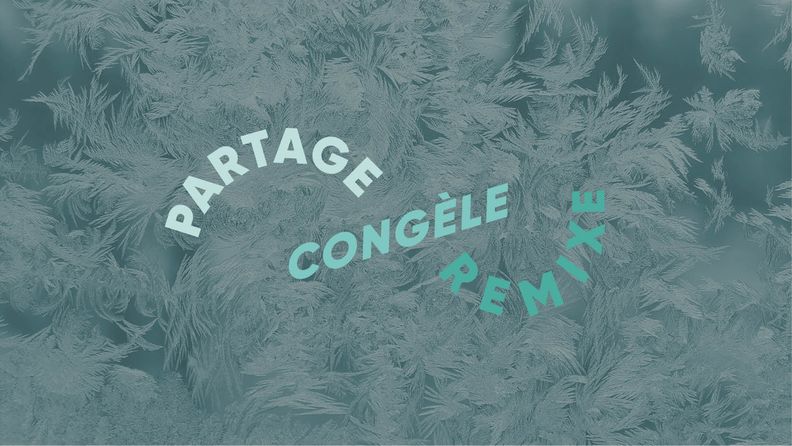 Tu peux congeler toute ta nourriture de Noël... Voici comment !