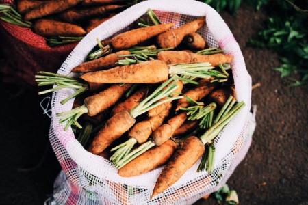 L’Union suisse des paysans: Sauvons ensemble des aliments avec « Too Good To Go »