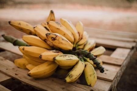 Comment bien conserver les bananes ?