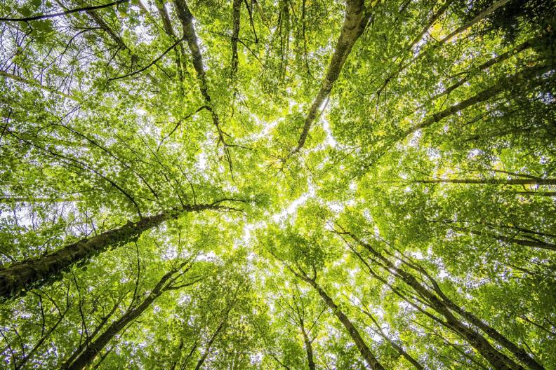 How British consumers feel about sustainability: Top UK cities ranked
