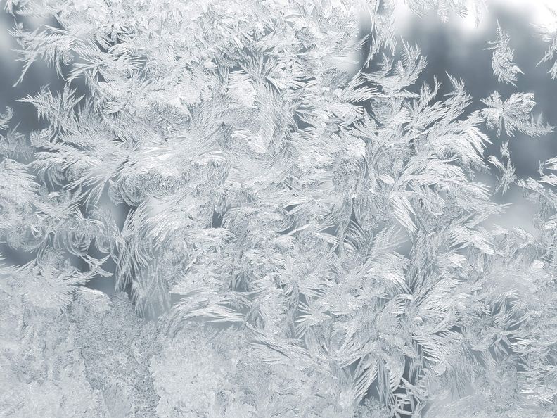 All julematen kan fryses - finn ut hvordan