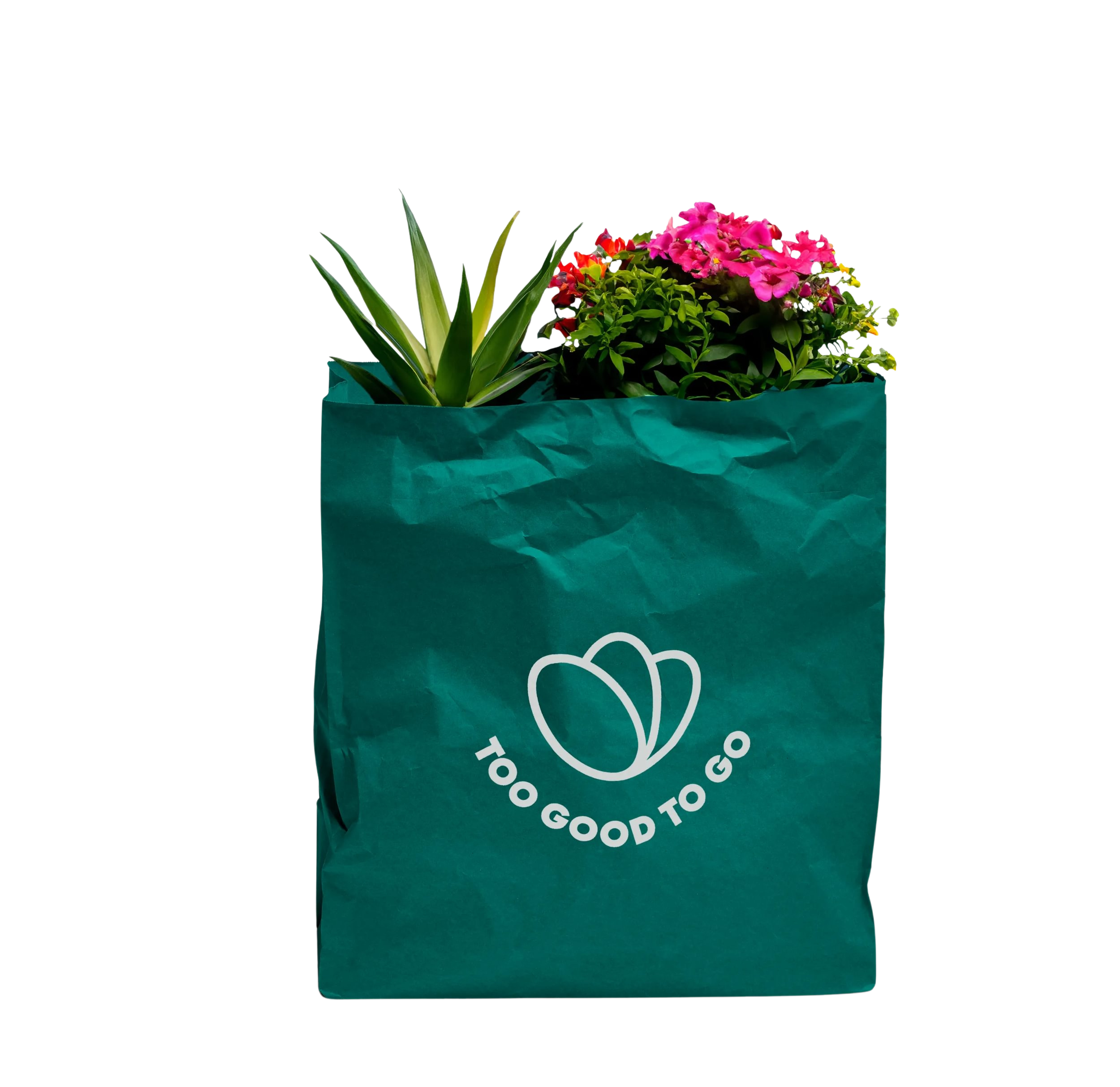 a green bag that says too good to go on it