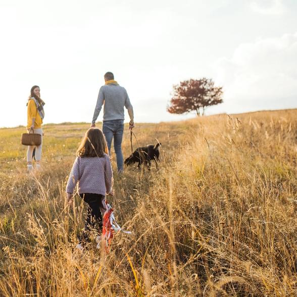a family is walking their dog in a field .