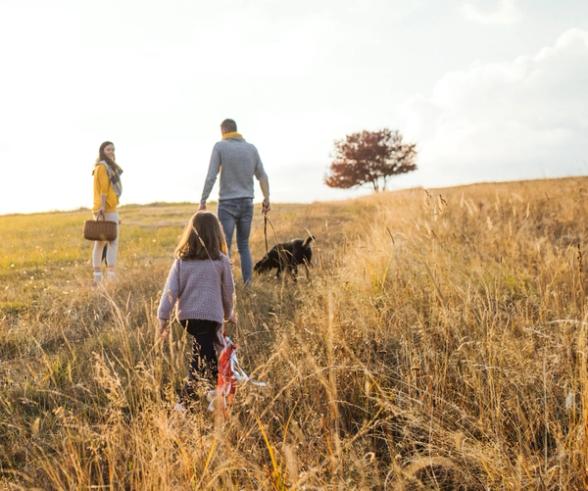 a family is walking their dog in a field .