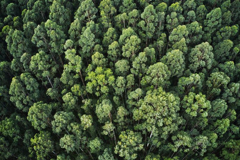 Juntos contra el Cambio Climático: Semana Europea del Desarrollo Sostenible.