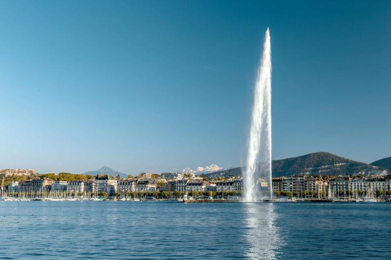 TOO GOOD TO GO À GENÈVE : LES 10 COUPS DE COEUR DE GENEVA DISCOVERY