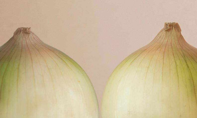 Oanständig mat ska få fler att uppmärksamma den Internationella matsvinnsdagen