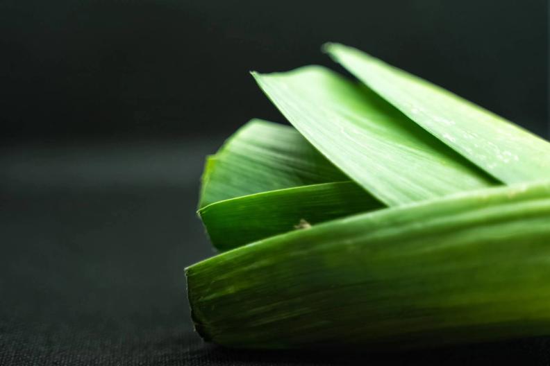 Légume de décembre: le poireau. De la racine à la feuille