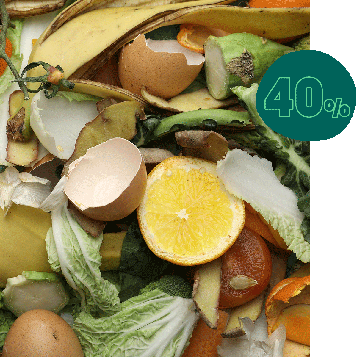 About Food Waste Too Good To Go Page 10 Too Good To Go About Food Waste Too Good To Go Page 10 Too Good To Go