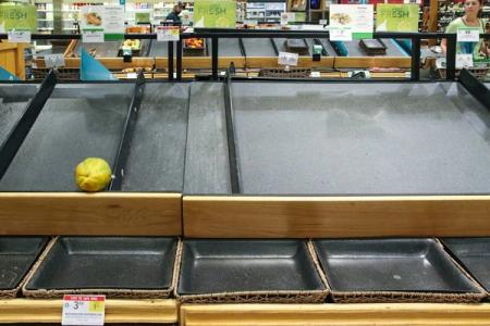 Mostly empty supermarket produce shelves with a single papaya remaining.