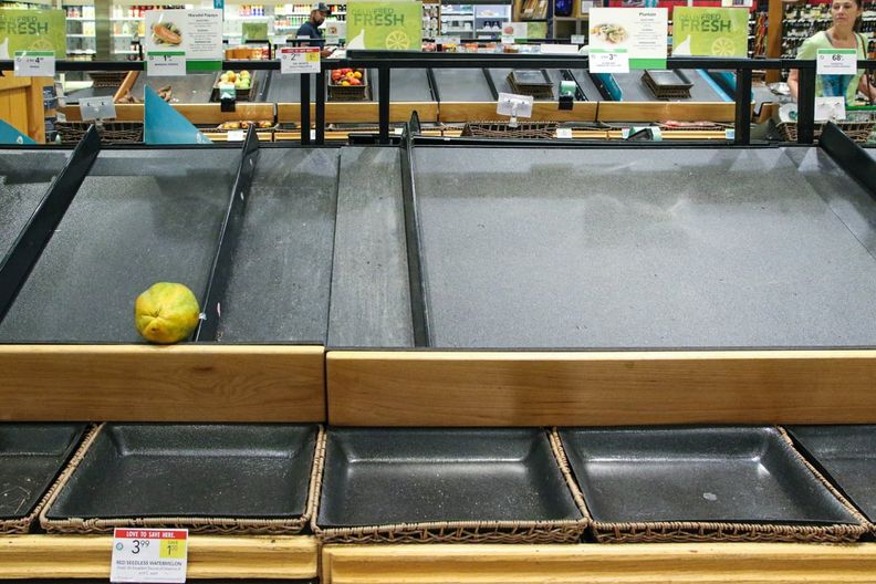 Mostly empty supermarket produce shelves with a single papaya remaining.