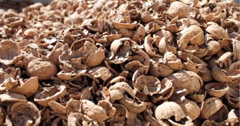 5 creative ways to use up nutshells – Too Good To Go