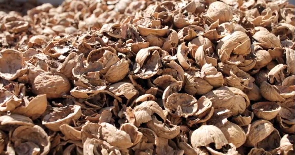 Nut Shells 5 creative ways to use up nutshells – Too Good To Go