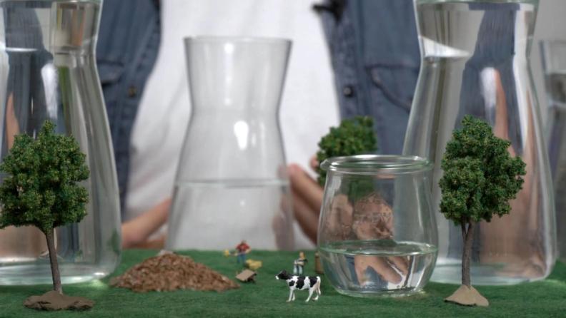 Save water by saving food - the water we waste