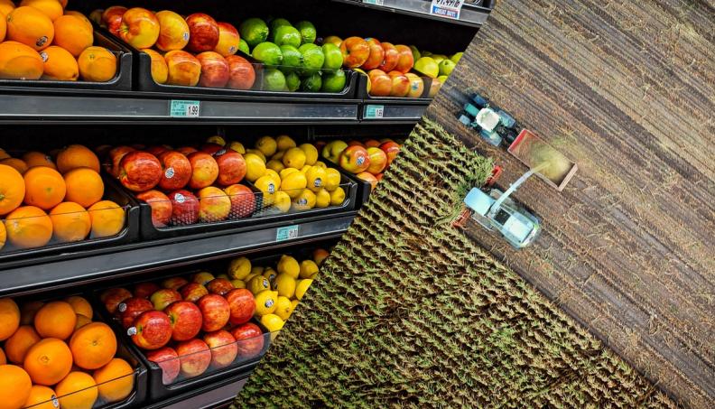 The Difference Between Food Waste and Food Loss