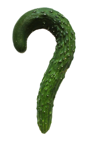 a green cucumber shaped like a question mark