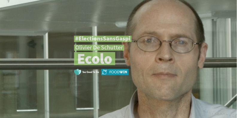 Olivier De Schutter, Ecolo