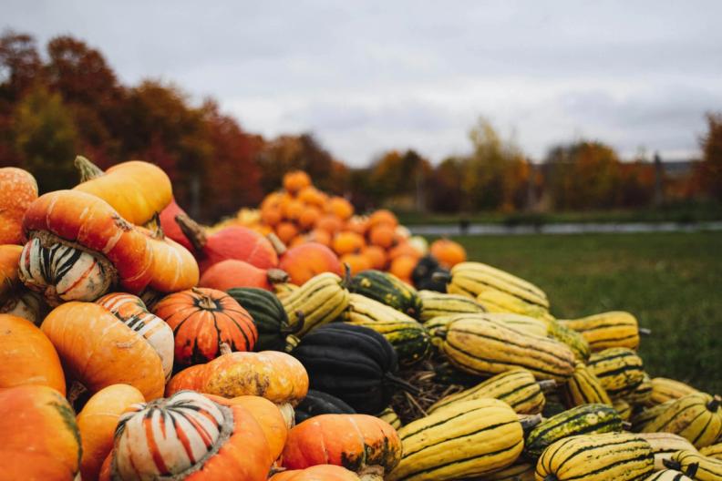 5 SNACK ANTI-SPRECO CON LA ZUCCA