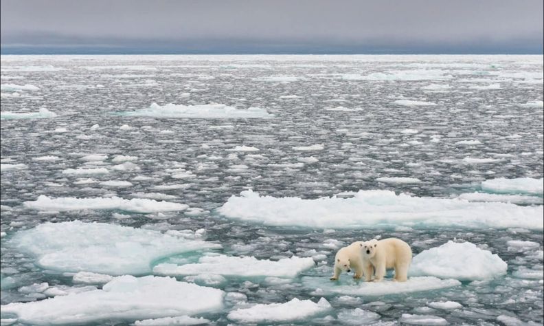 4 points pour comprendre le changement climatique