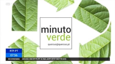 Minuto Verde