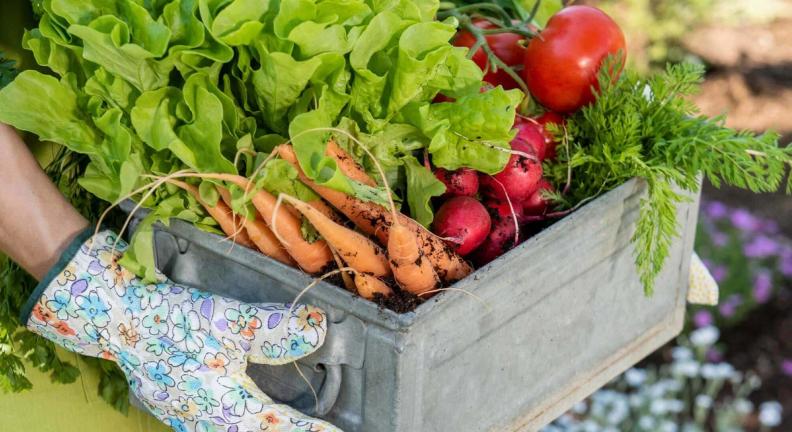 5 ways small food businesses can cut food waste