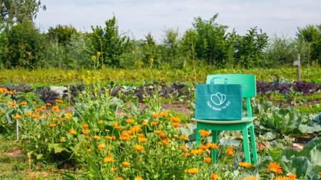 A green Too Good To Go bag sits on a green chair in a lush garden with orange flowers and vegetables.