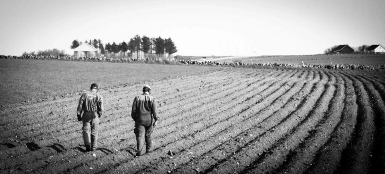 Undersøkelse: Verdsetter mat i større grad enn før koronakrisen