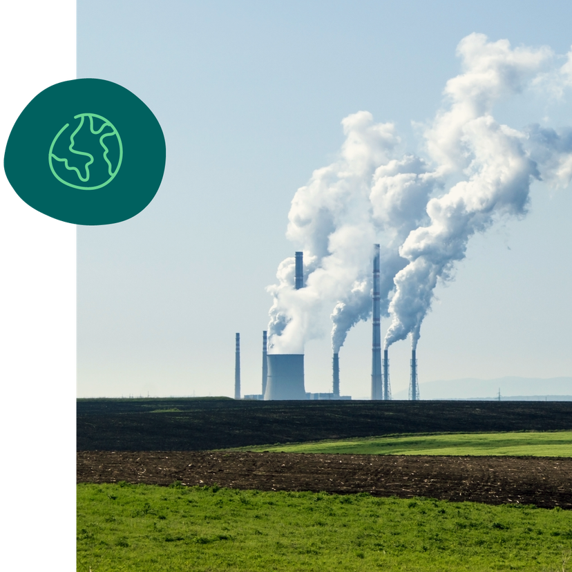 Impact of Food Waste on the Environment | Too Good To Go