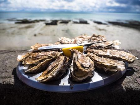 Comment bien conserver les huîtres ? En bourriche, en vrac, ouvertes .. on vous dit tout !