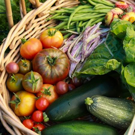 a basket filled with tomatoes , zucchini , green beans and other vegetables .