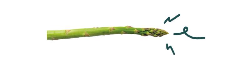 Announcing the winner of our Save The Food poetry competition