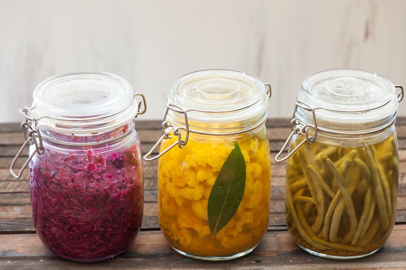 Comprendre les bactéries et la fermentation