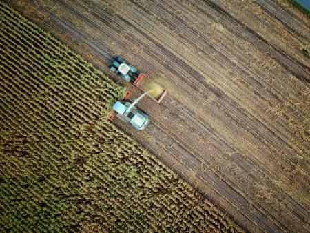 Aerial view of a green combine harvester harvesting golden crops, kicking up dust.