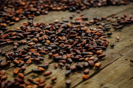Quel est l'impact écologique du chocolat ?