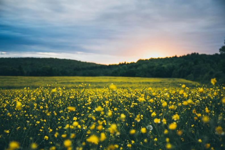 Région Hauts-de-France : bons plans anti gaspi & eco friendly