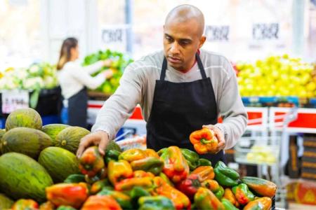 Quelles sont les causes du gaspillage alimentaire des supermarchés ?