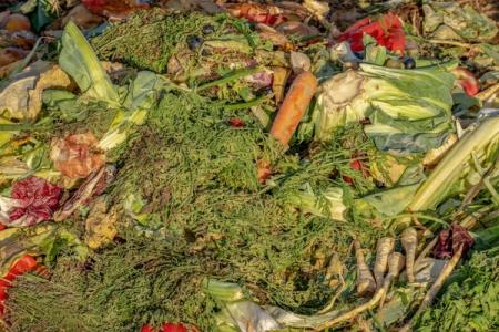 Solo un 6% de los españoles reconoce no tirar comida a la basura