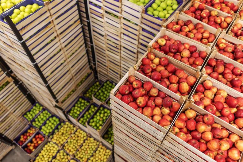 Red, green, and yellow apples in stacked wooden crates.