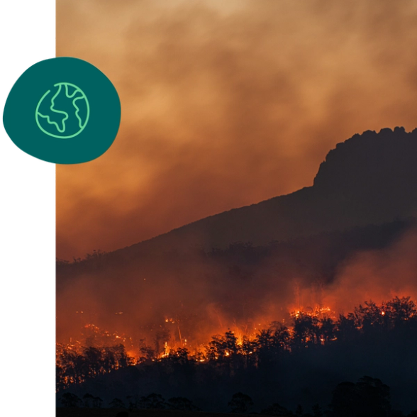 a picture of a forest fire with a globe in the background