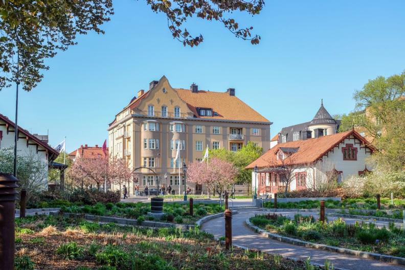 A spring park with cherry blossoms and winding paths, bordered by historic buildings with red roofs under a clear blue sky.