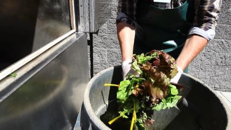 16 octobre :  Le gaspillage alimentaire,  inacceptable pour 92% des Français