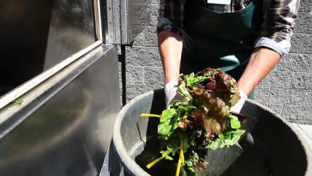 16 octobre :  Le gaspillage alimentaire,  inacceptable pour 92% des Français