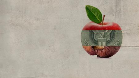 Novembre le mois du cinéma : Rotten