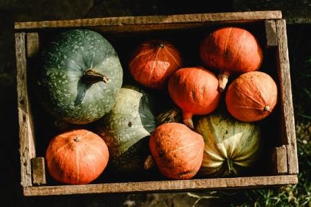 Halloween zonder verspilling: je kan van alles doen met de pompoen