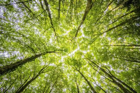 How British consumers feel about sustainability: Top UK cities ranked